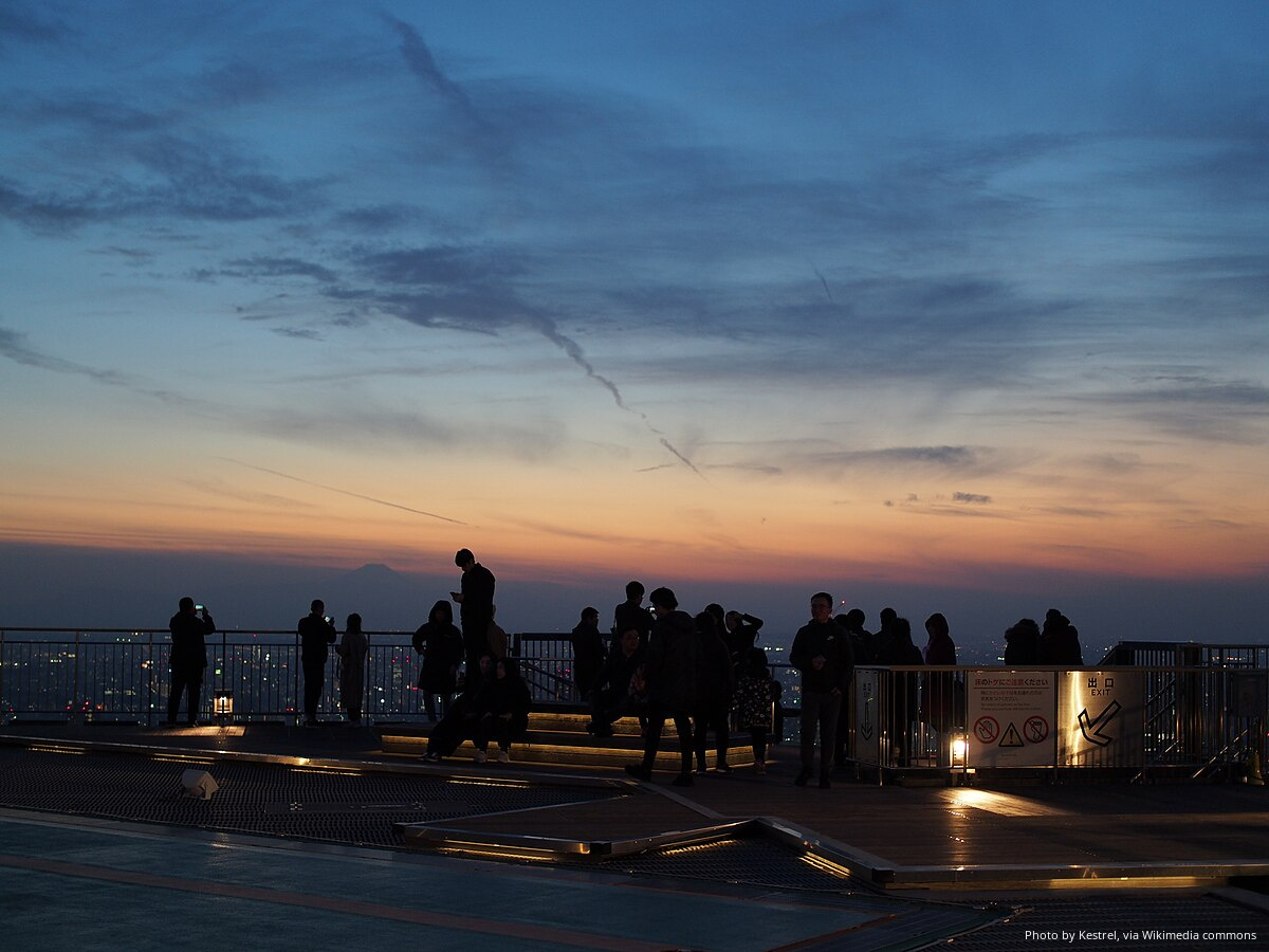 T-1 Night Tour of Tokyo