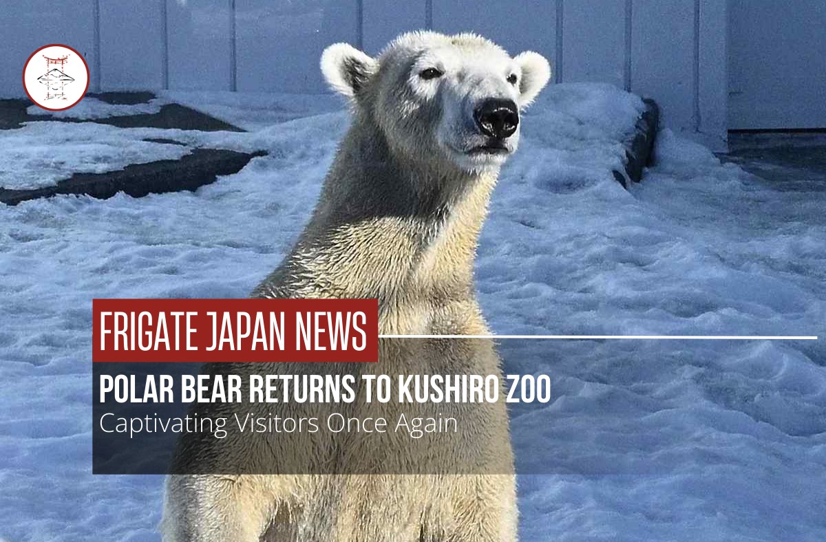 A polar bear has returned to Kushiro Zoo