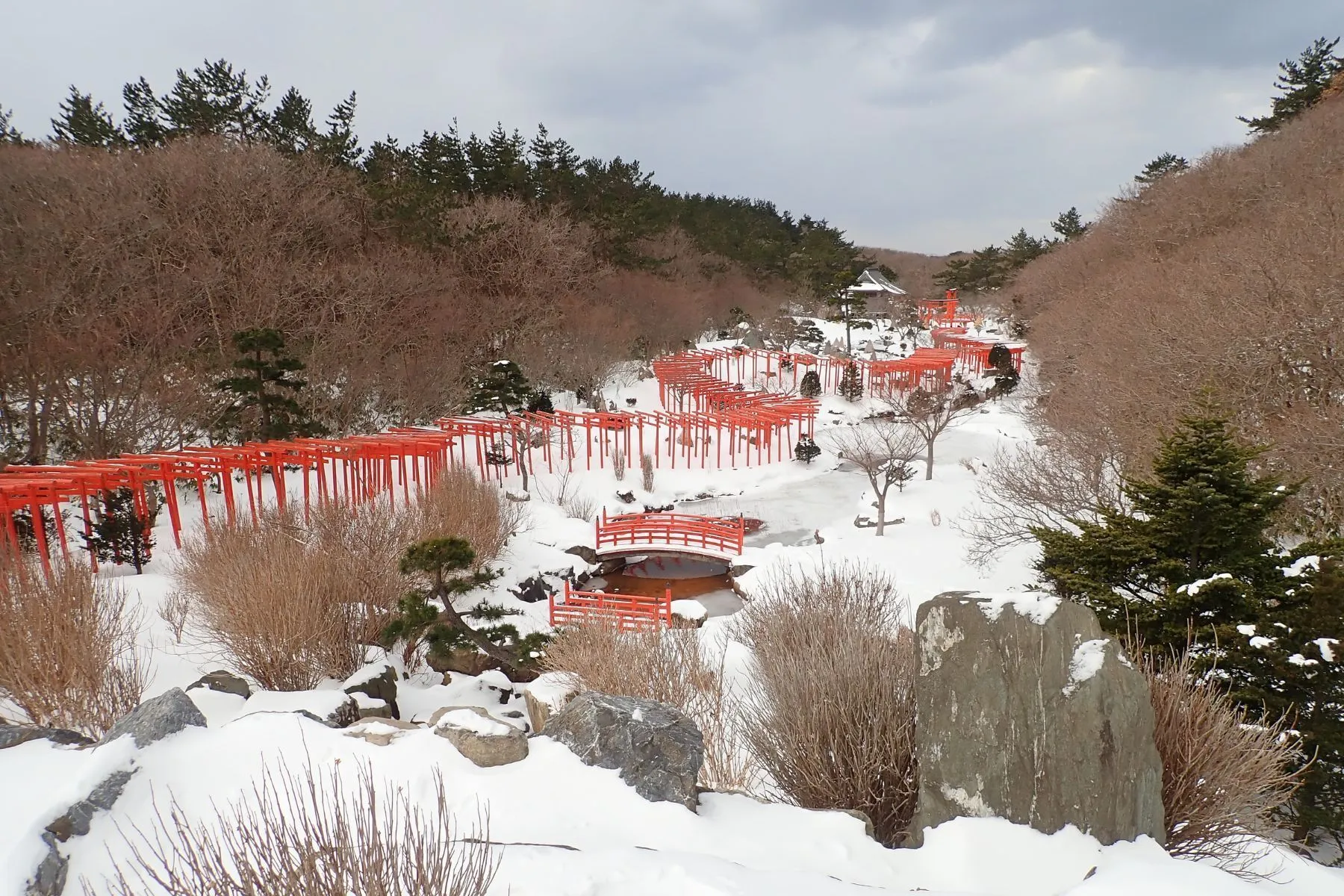 КАСКАД КРАСНЫХ «ТОРИИ» В АОМОРИ