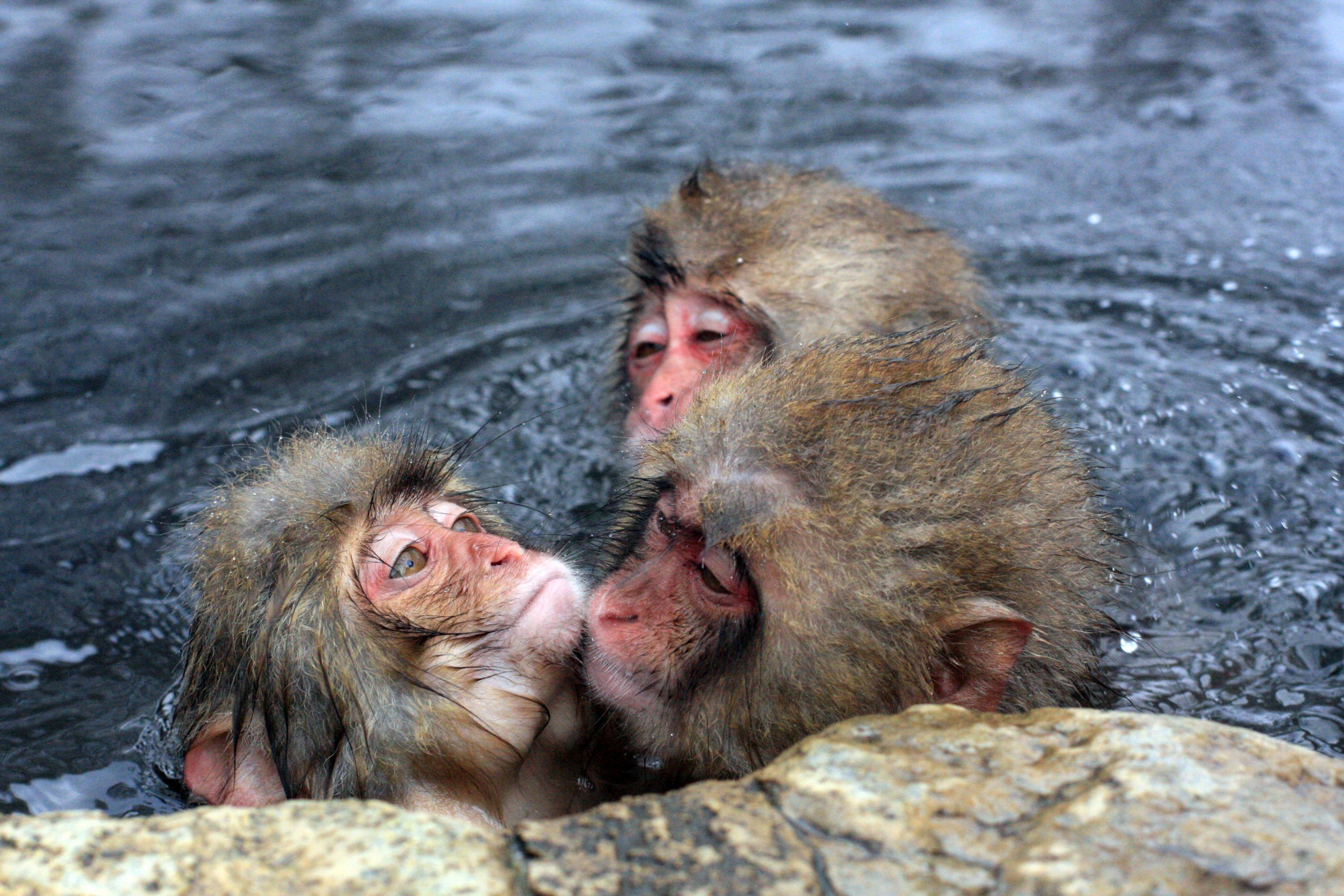 КАК НАСЛАДИТЬСЯ ЯПОНСКИМ ОНСЭНОМ ВДВОЕМ
